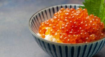 いくら醤油漬けと塩漬けの違いは？どっちが美味しい？塩派醤油派の割合は？