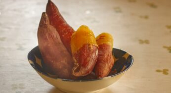 神様の焼き芋はどこ？茨城に風間俊介が直撃！SHOWチャンネル